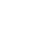 Why Birmingham? 8 largest city icon 1.png