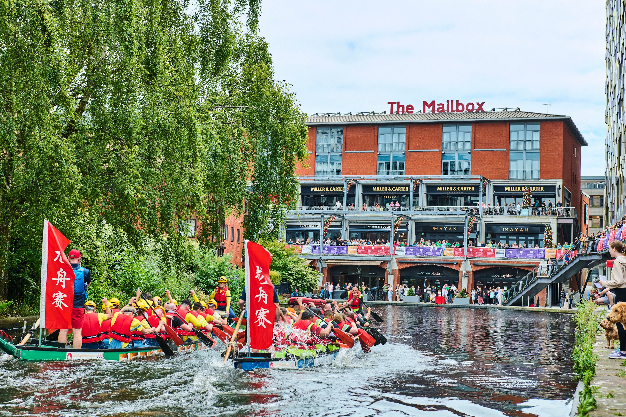 Sustainability 6 Dragon Boat Race 2024 2